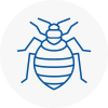 Bed Bug Extermination In Kendal